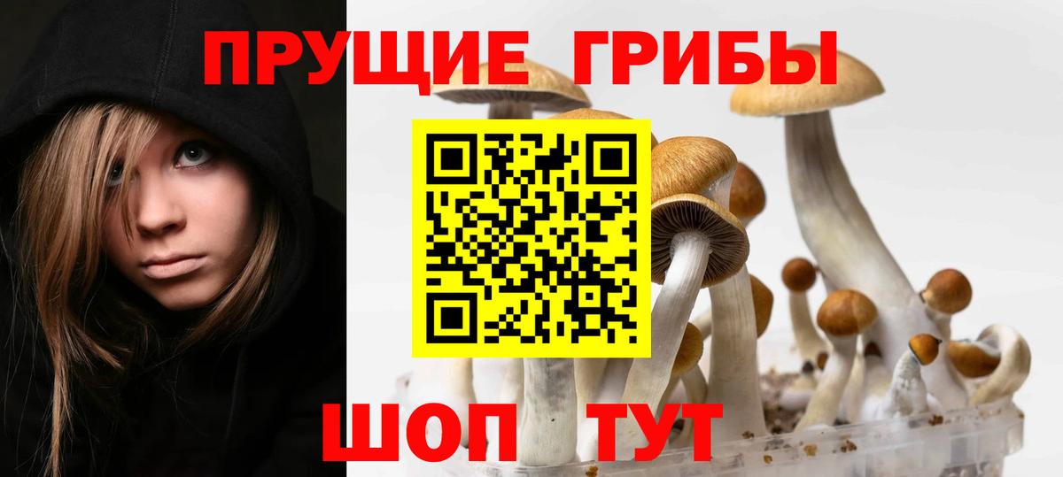 Галлюциногенные грибы Cubensis  Вход с VPN  Рославль  Галлюциногенные грибы мицелий 
